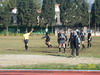 thumb_100_5525.jpg